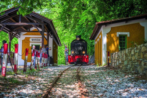 Hellenic Train: Τουριστικά δρομολόγια στο Πήλιο για τον Δεκαπενταύγουστο