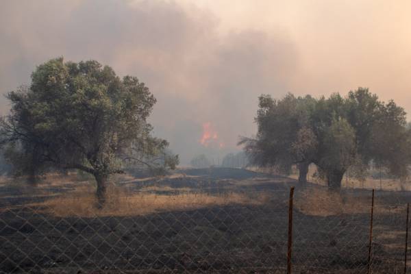 Υπό έλεγχο η φωτιά κοντά στην πόλη της Ρόδου