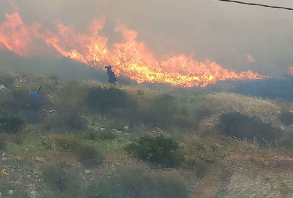 Φωτιά σε δασική περιοχή του Πόρου