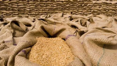 Η Ινδία σε πιθανή απελευθέρωση εξαγωγών σιταριού