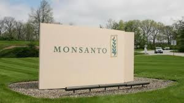 Καρκινογόνο το βασικό προϊόν της Monsanto;