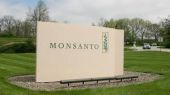Καρκινογόνο το βασικό προϊόν της Monsanto;