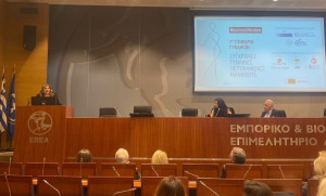 Συρεγγέλα: Στηρίζουμε όσες αγωνίζονται να σπάσουν τη «γυάλινη οροφή»