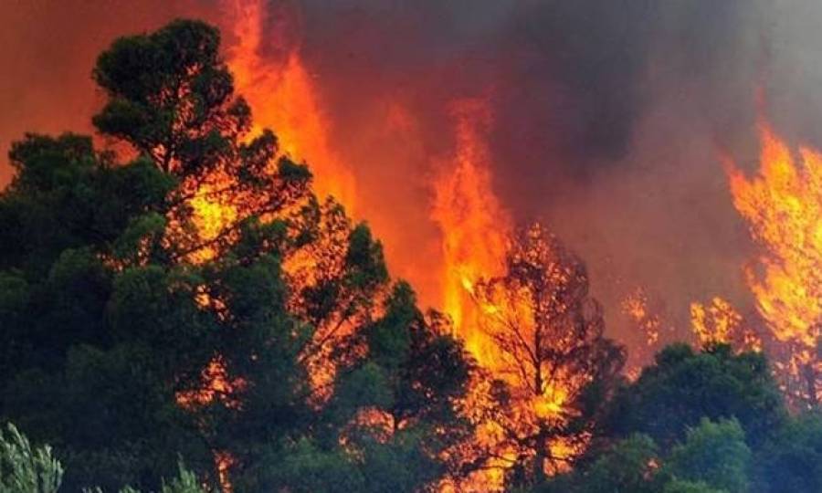Πυρκαγιά σε αγροτοδασική έκταση της Καστοριάς