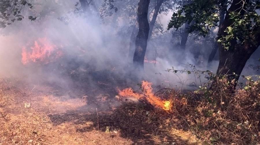 Πυρκαγιά ξέσπασε στη Μάνδρα Αττικής