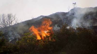 Πυρκαγιά σε δασική έκταση στο Χαϊδάρι