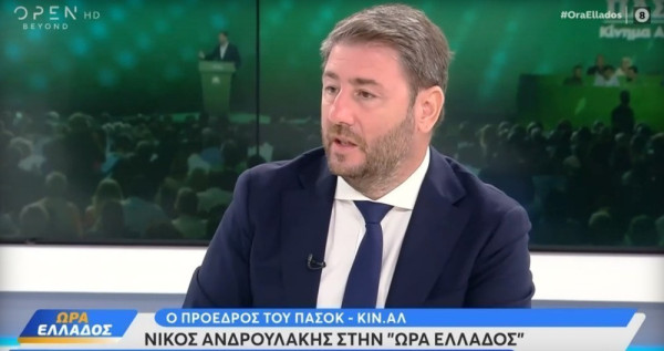 Το στρατηγικό πρόβλημα του ΠαΣοΚ σε μία αθέλητη ομολογία του Ανδρουλάκη