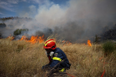 Πυρκαγιά σε δασική έκταση στο Πάνακτο Βοιωτίας