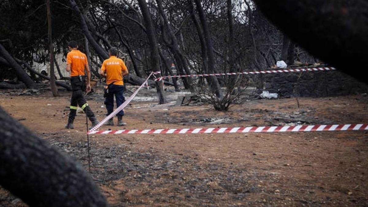 Στις 2.569 οι αιτήσεις πυρόπληκτων