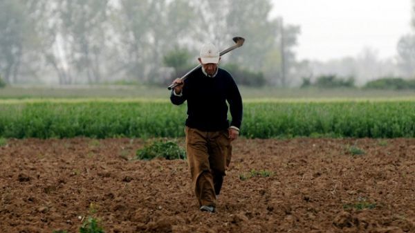 Πρωτοβουλία για ίδρυση Αγροτικού Επιμελητηρίου