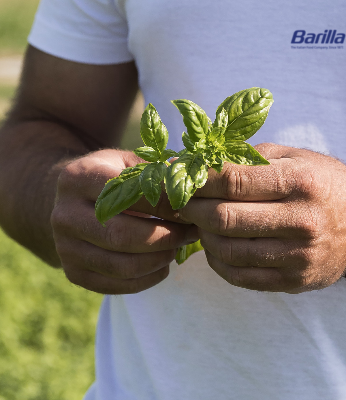 Barilla: Επενδύει σε αναγεννητική γεωργία και καθαρή ενέργεια – Το πλάνο έως το 2030