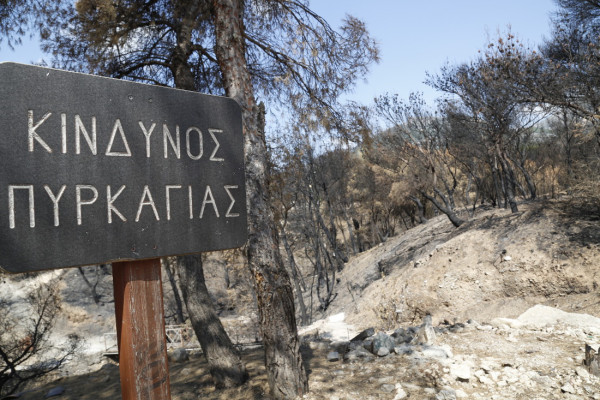 Παρατάσεις για την πυροπροστασία ακινήτων σε δάση- Οι νέες προθεσμίες