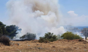 Υπό μερικό έλεγχο η φωτιά στη Βούλα