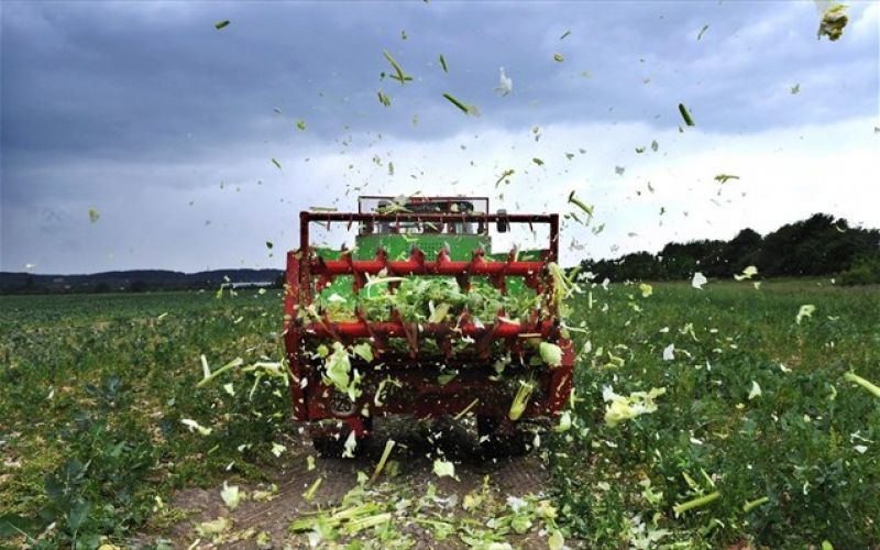 Αποζημίωση σε 11.466 δικαιούχους αγρότες από τον ΕΛΓΑ