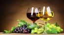 Νέες αγορές και νέο πλάνο για την προώθηση του Ελληνικού κρασιού