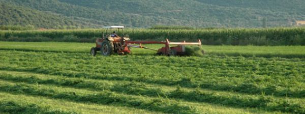 Νέα Κ.Α.Π..: Μειώσεις άμεσων ενισχύσεων έως και 70% στα μεγάλα αγροκτήματα ενέκρινε το Ευρωκοινοβούλιο