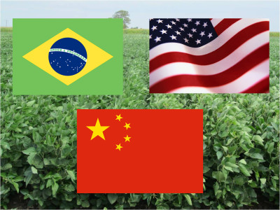 Βραζιλία: Πιο ανταγωνιστική απ&#039;τις ΗΠΑ για εξαγωγές σόγιας στην Κίνα