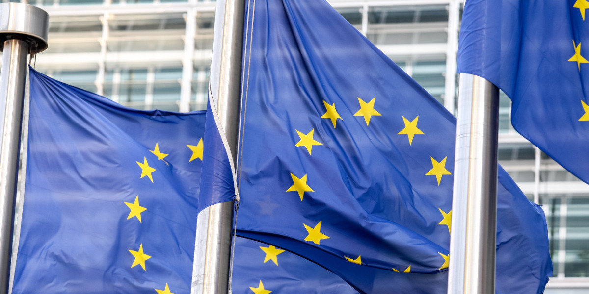 Τo Ευρωκοινοβούλιο υπέρ της ενίσχυσης της παραγωγής τεχνολογίας «NET ZERO»