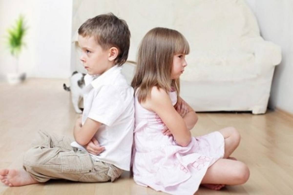 Υπόθεση: Αδελφικός καβγάς