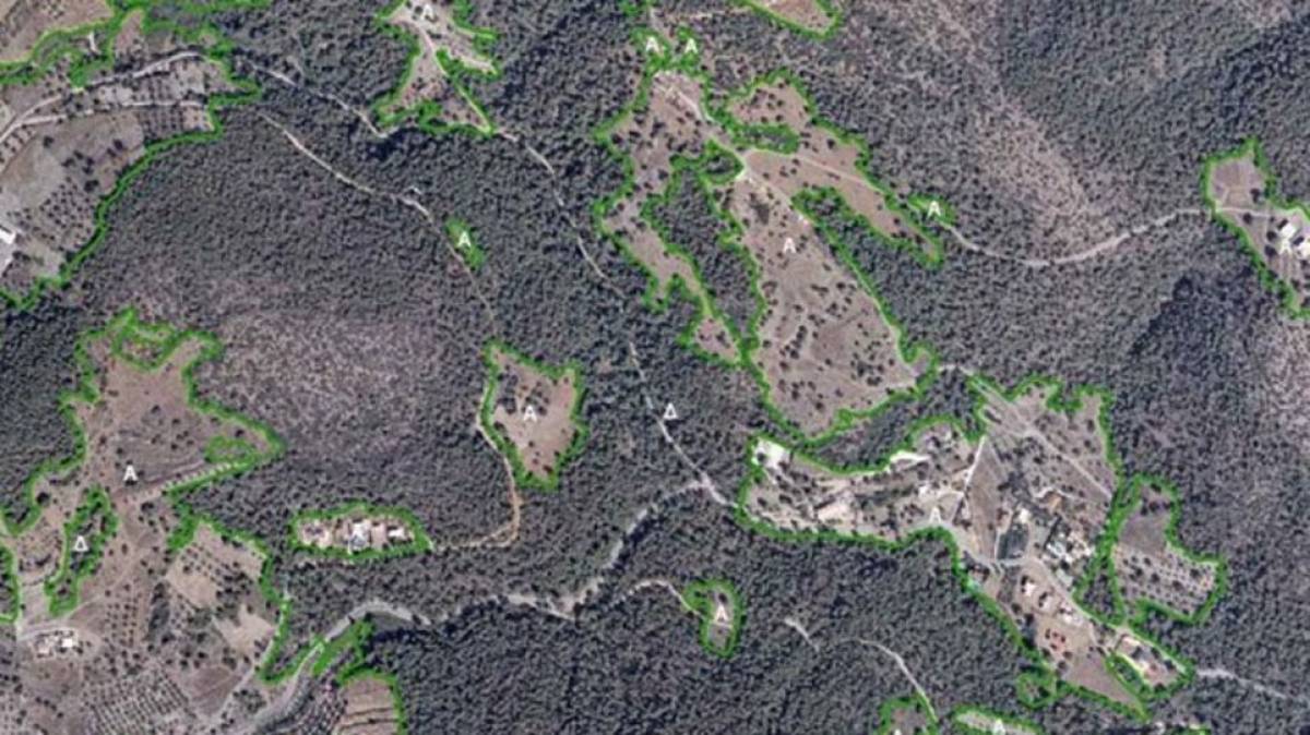Παράταση έως 28 Ιουνίου για τις αντιρρήσεις επί δασικών χαρτών