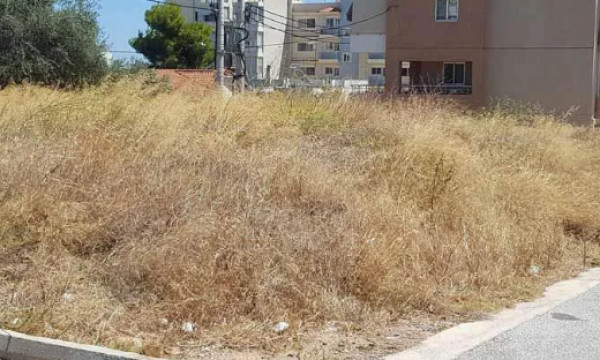 Καθαρισμός οικοπέδων: Τι πρέπει να κάνετε, προθεσμίες και πρόστιμα