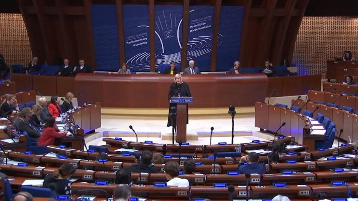 Επίτροπος Dunja Mijatović: Ξέχασε τα ανθρώπινα δικαιώματα των πολλών