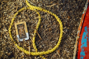 Προϊόντα από φύκια: καινοτόμα, οικολογικά και ελληνικά