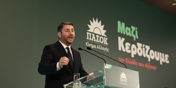Ανδρουλάκης στην ΚΕ: Μόνο το ΠΑΣΟΚ μπορεί να κάνει παρελθόν την κυβέρνηση Μητσοτάκη