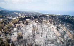 Πέτσας για Μάτι: Κραυγαλέα συγκάλυψη με τεράστιες ποινικές ευθύνες