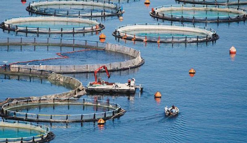 Απομόνωση κι επιτήρηση για εγκατάσταση της "Υδατοκαλλιέργειες Άρτας ΑΕΒΕ"