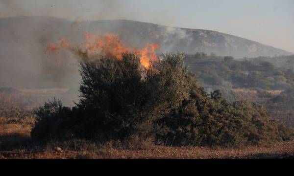 Προς πλήρη κατάσβεση η πυρκαγιά στην Εύβοια