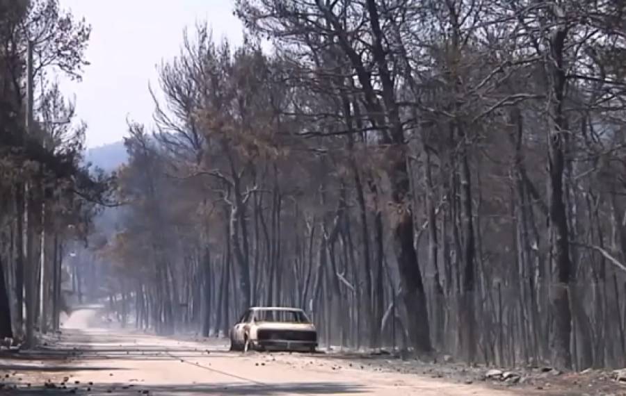 Φωτιές στην Αττική: Αποκαρδιωτικές εικόνες στις καμένες περιοχές (videos)