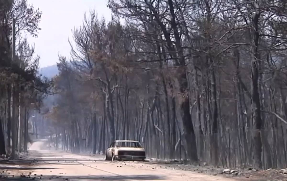 Φωτιές στην Αττική: Αποκαρδιωτικές εικόνες στις καμένες περιοχές (videos)