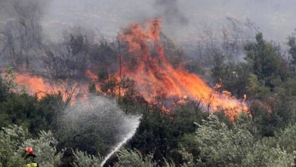 Νέα πυρκαγιά στους πρόποδες της Πάρνηθας