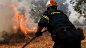 Πυροσβεστική: 42 δασικές πυρκαγιές το τελευταίο 24ωρο