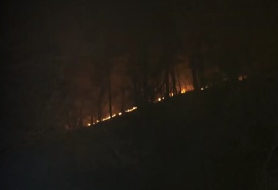 ΠΑΣΟΚ: Κυβερνητική αδυναμία διαχείρισης της πυρκαγιάς στα Πιέρια Όρη
