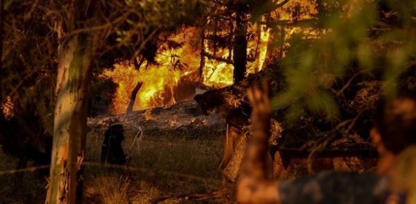 Από 600 έως 6.000 ευρώ στους πυρόπληκτους της Αχαΐας