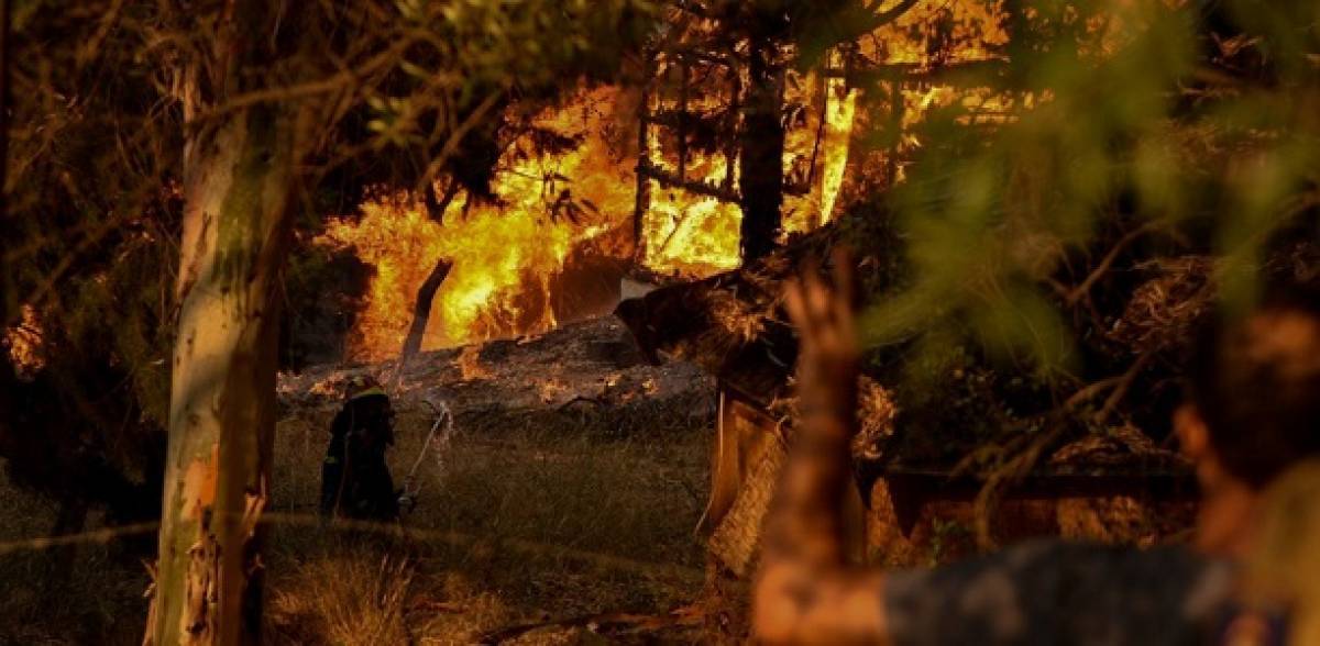 Από 600 έως 6.000 ευρώ στους πυρόπληκτους της Αχαΐας